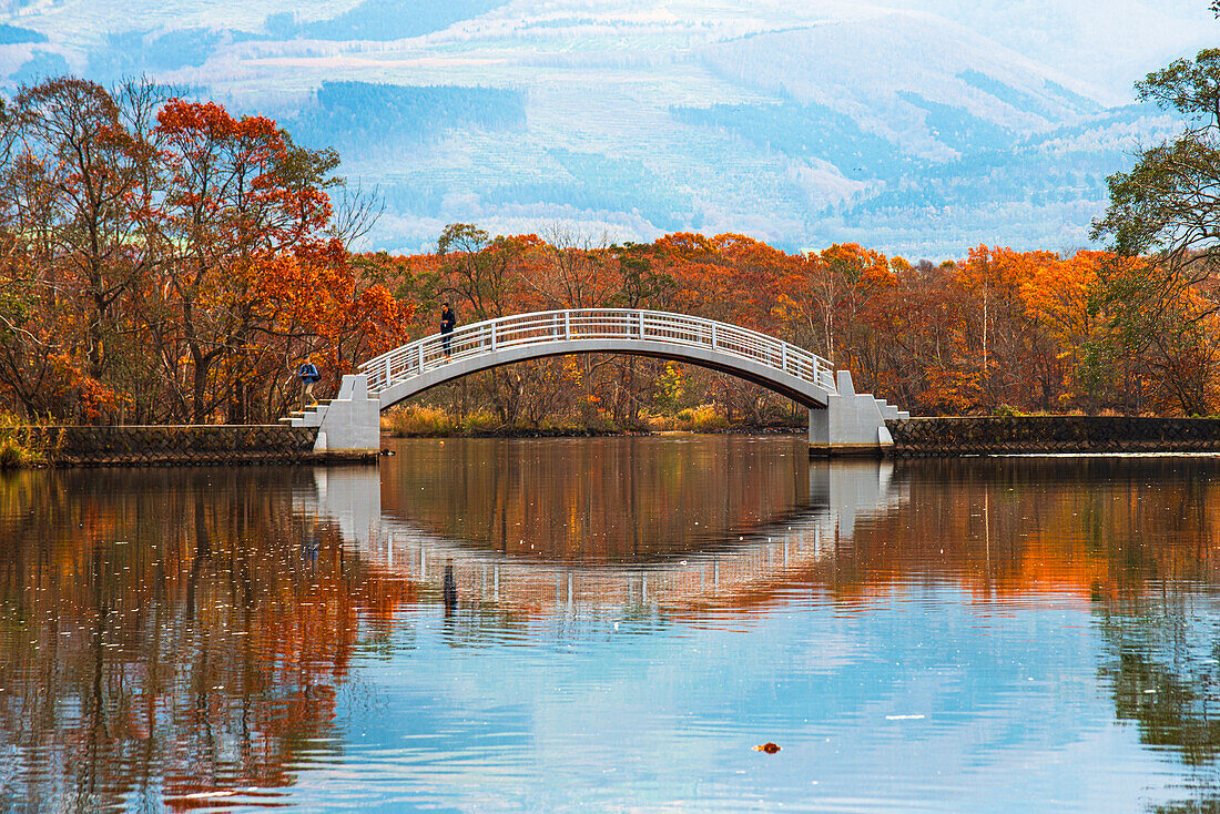 Beautiful white bowed bridge reflecting in a clear lake with red autumn colours surrounding, Lake Onuma, Hokkaido, Japan, Asia\n
