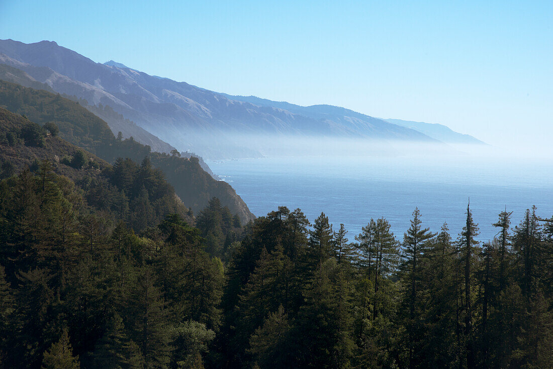 Hills and forest with misty coastline beyond, Big Sur, California, United States of America, North America\n
