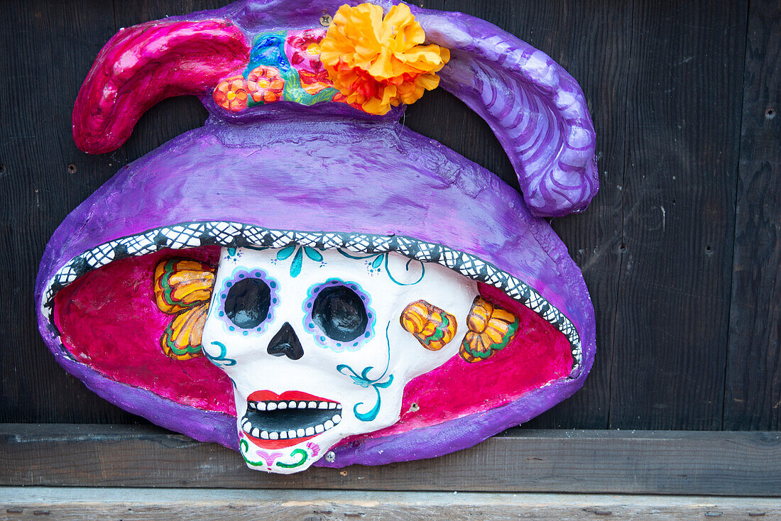 Day of the Dead, San Diego, California, United States of America, North America\n