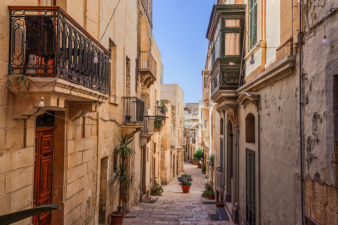 Traditional Maltese limestone buildings with coloured balconies in the vibrant alleys of the old city of Birgu (Citta Vittoriosa), Malta, Mediterranean, Europe\n
