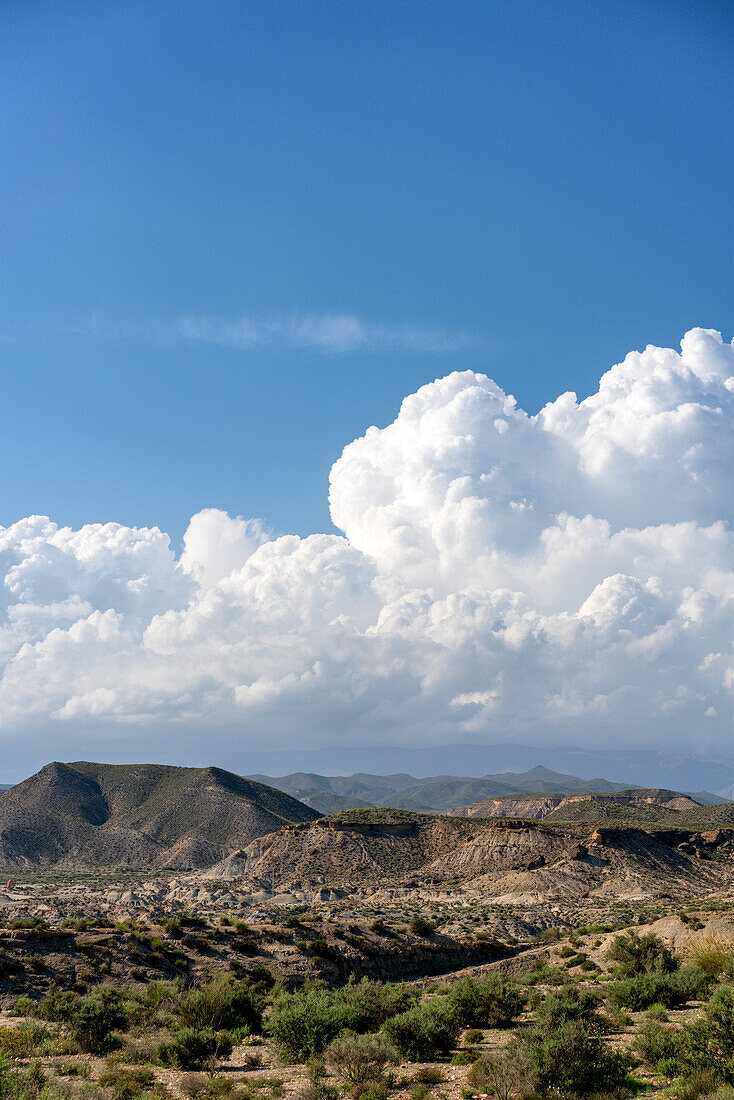 Tabernas Wüstenlandschaft an einem sonnigen Tag, Almeria, Andalusien, Spanien, Europa