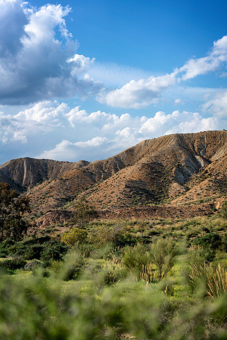 Tabernas desert landscape on a sunny day, Almeria, Andalusia, Spain, Europe\n