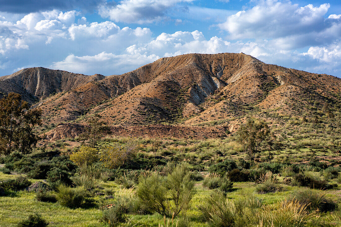 Tabernas Wüstenlandschaft an einem sonnigen Tag, Almeria, Andalusien, Spanien, Europa