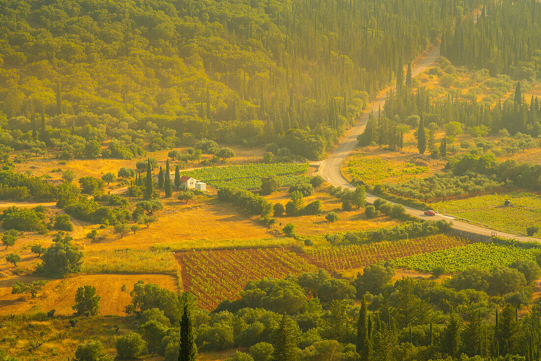 View of inland woodland and vineyards near Poulata, Kefalonia, Ionian Islands, Greek Islands, Greece, Europe\n