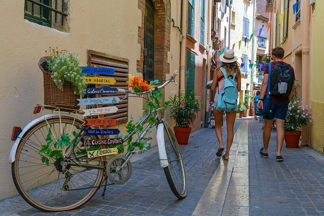 France, Pyrenees Orientales, Collioure, walking in a pedestrian street with a bicycle in the foreground\n
