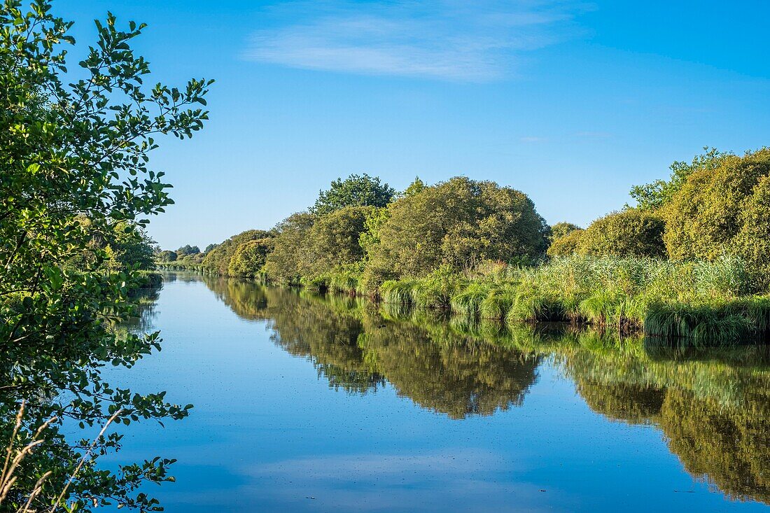 Frankreich, Loire-Atlantique, Regionaler Naturpark Briere, La Chapelle-des-Marais am Rande des Sumpfgebiets Brière