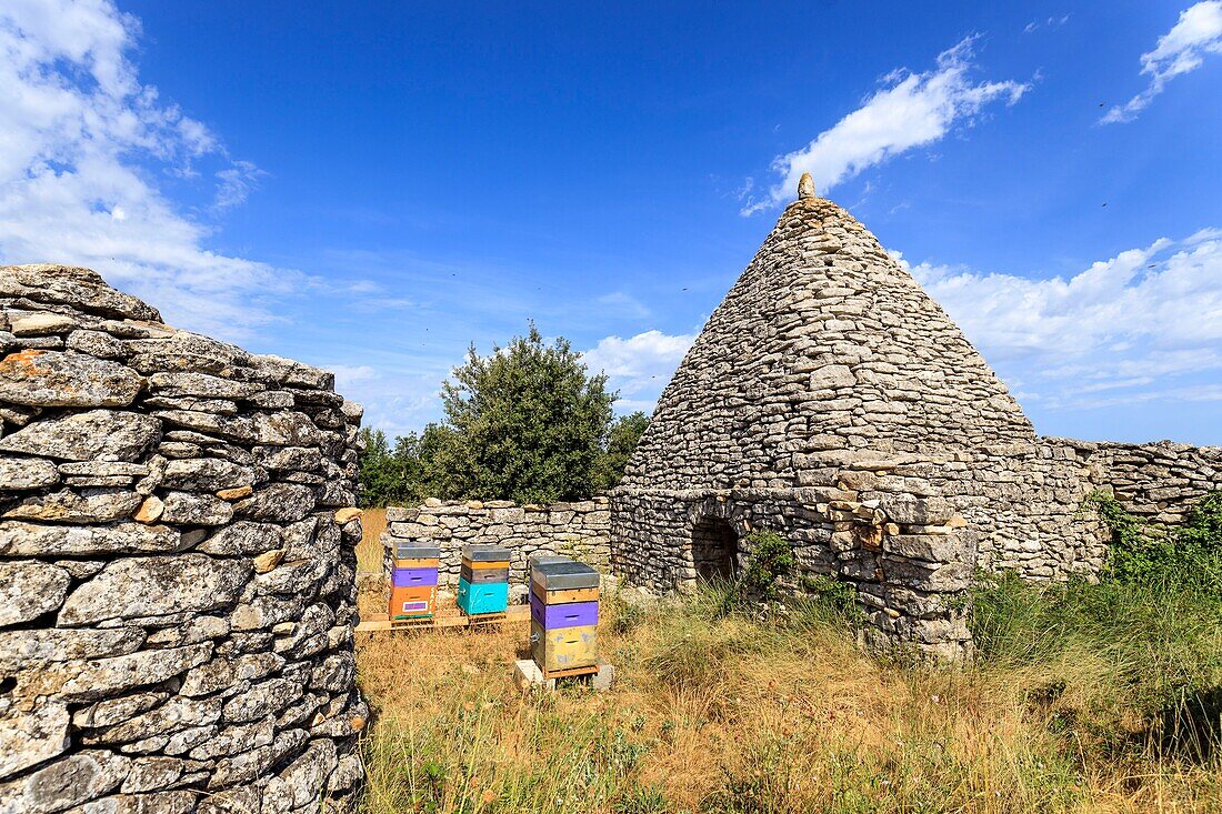 France, Vaucluse, regional natural reserve of Luberon, Saignon, borie on the plateau of Claparedes\n