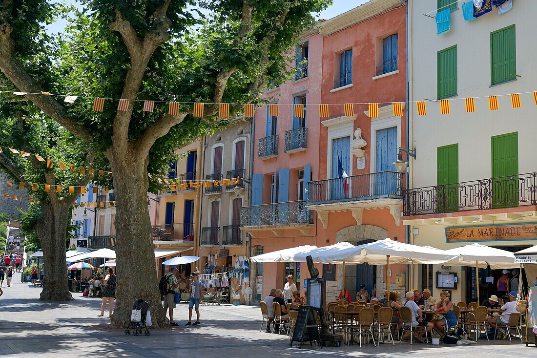 France, Pyrenees Orientales, Collioure, coffee terraces on a square in the shade of plane trees\n