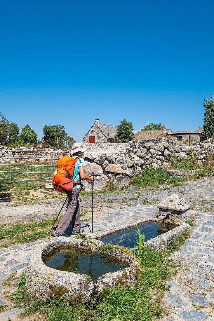 Frankreich, Lozere, Regionales Naturschutzgebiet Aubrac, Marchastel, Weiler Rieutort d'Aubrac, Wanderung entlang der Via Podiensis, einer der französischen Pilgerwege nach Santiago de Compostela oder GR 65, Granitbrunnen