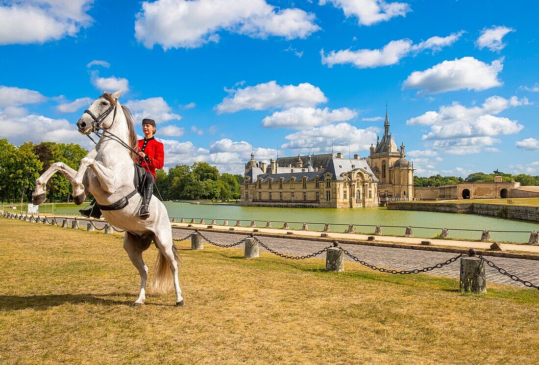 Frankreich, Oise, Chantilly, das Schloss von Chantilly, die Grandes Ecuries, Estelle, Reiterin der Grandes Ecuries, macht ihr Pferd vor dem Schloss zurecht