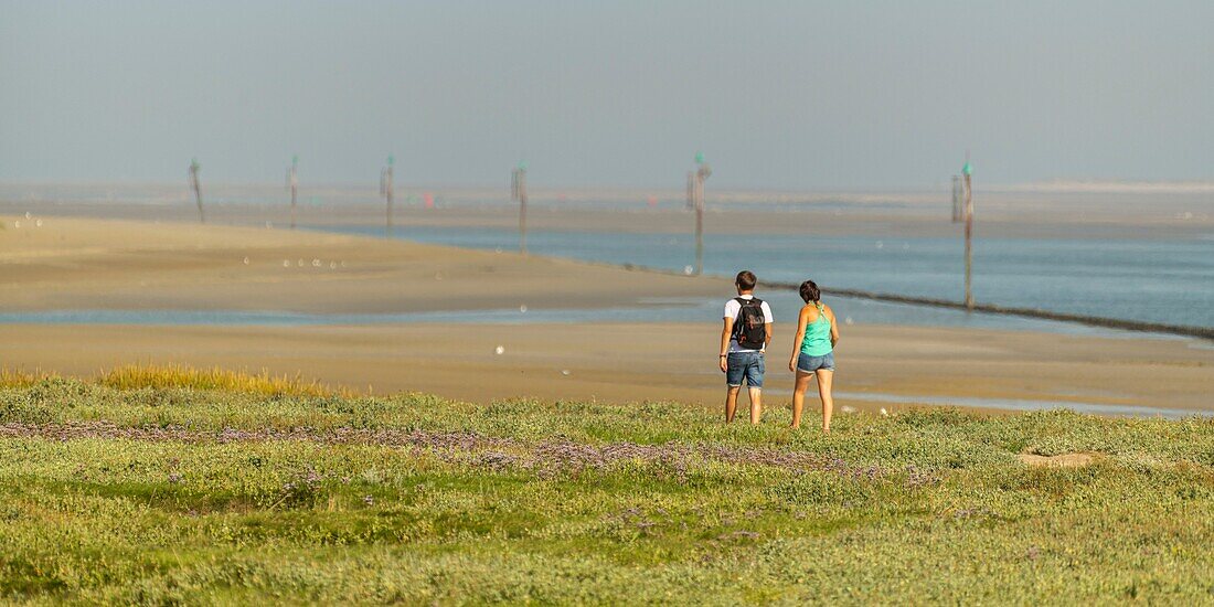 France, Somme, Somme Bay, Saint-Valery-sur-Somme, Cape Hornu, Walkers in the salted meadows along the channel of the Somme\n