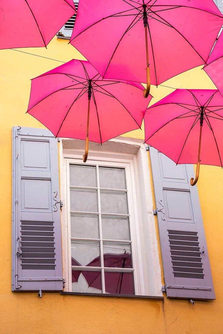 France, Alpes-Maritimes, Grasse, historic center, pink umbrellas in Jean Ossola street\n