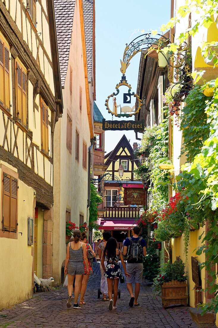 Frankreich, Haut Rhin, Elsässer Weinstraße, Riquewihr, mit dem Label Les Plus Beaux Villages de France (Die schönsten Dörfer Frankreichs), traditionelle Fachwerkhäuser