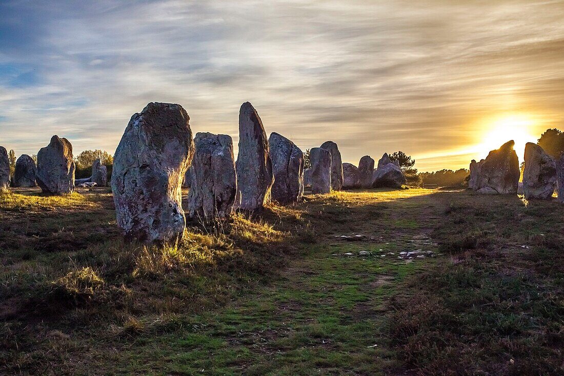 France, Morbihan, Carnac, megalithic alignments of Kermario at sunset\n