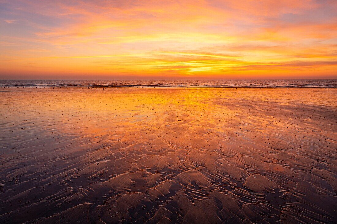 Frankreich, Somme, Marquenterre, Quend-Plage, schöner Sonnenuntergang am Strand