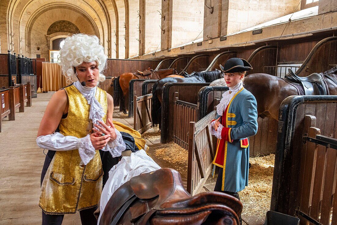 Frankreich, Oise, Chantilly, Schloss Chantilly, der Große Marstall, Ausstellung zum dreihundertjährigen Bestehen des Großen Marstalls: Es war einmal... der Große Marstall, die Reiter bereiten sich vor