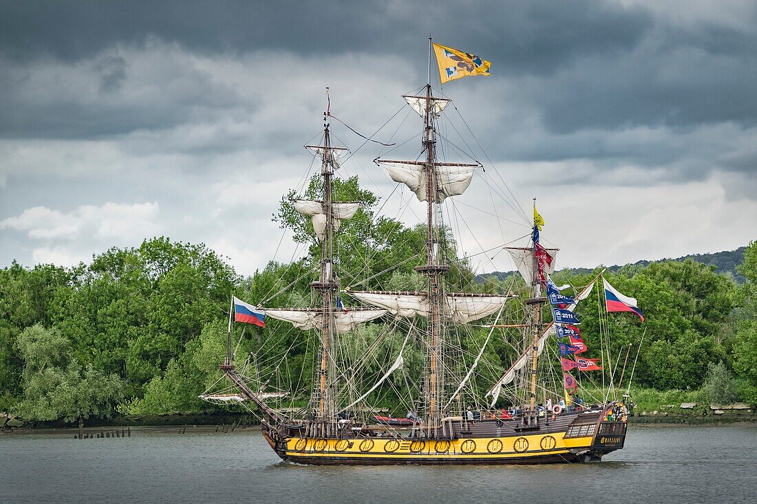 Frankreich, Seine Maritime, Rouen Armada, die Armada von Rouen 2019 auf der Seine, die Shtandart, Nachbau der russischen Fregatte Shtandat aus dem Jahr 1703