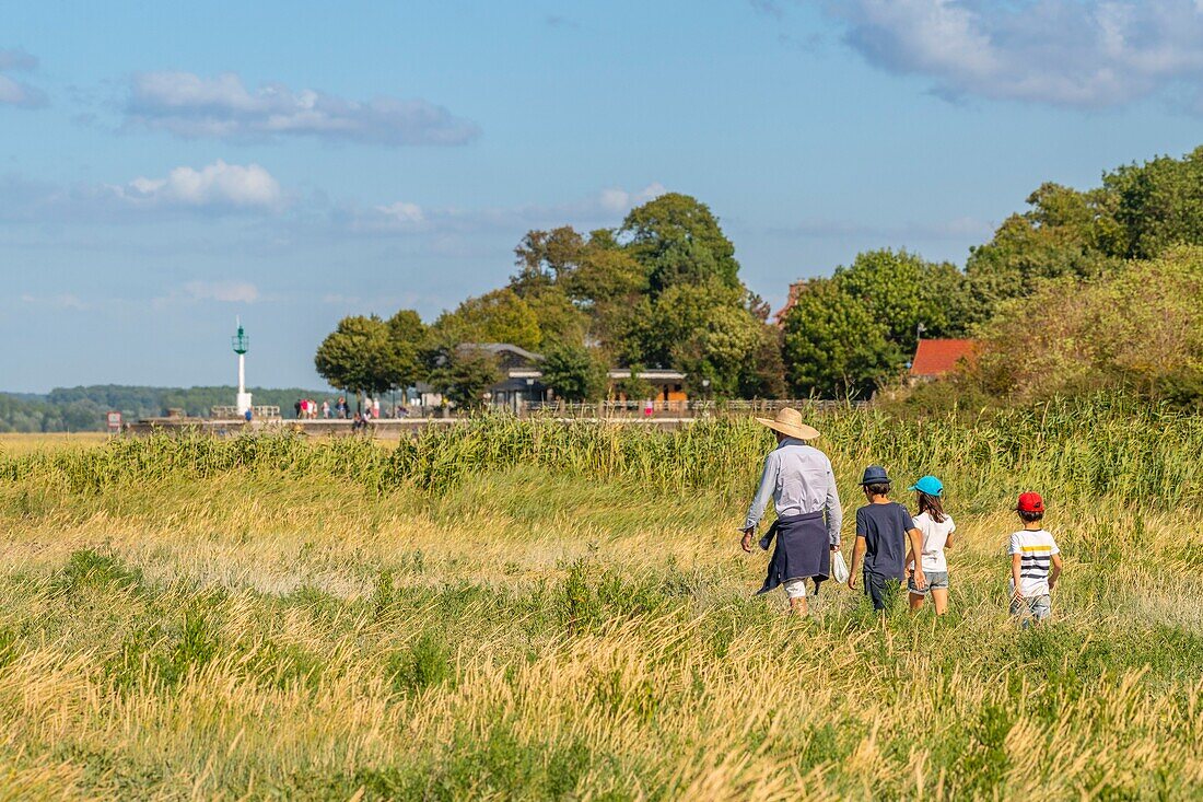 France, Somme, Somme Bay, Saint Valery sur Somme, Cape Hornu, the beach of Saint Valery and the salted meadows along the channel of the Somme, a place of walk appreciated by everyone\n