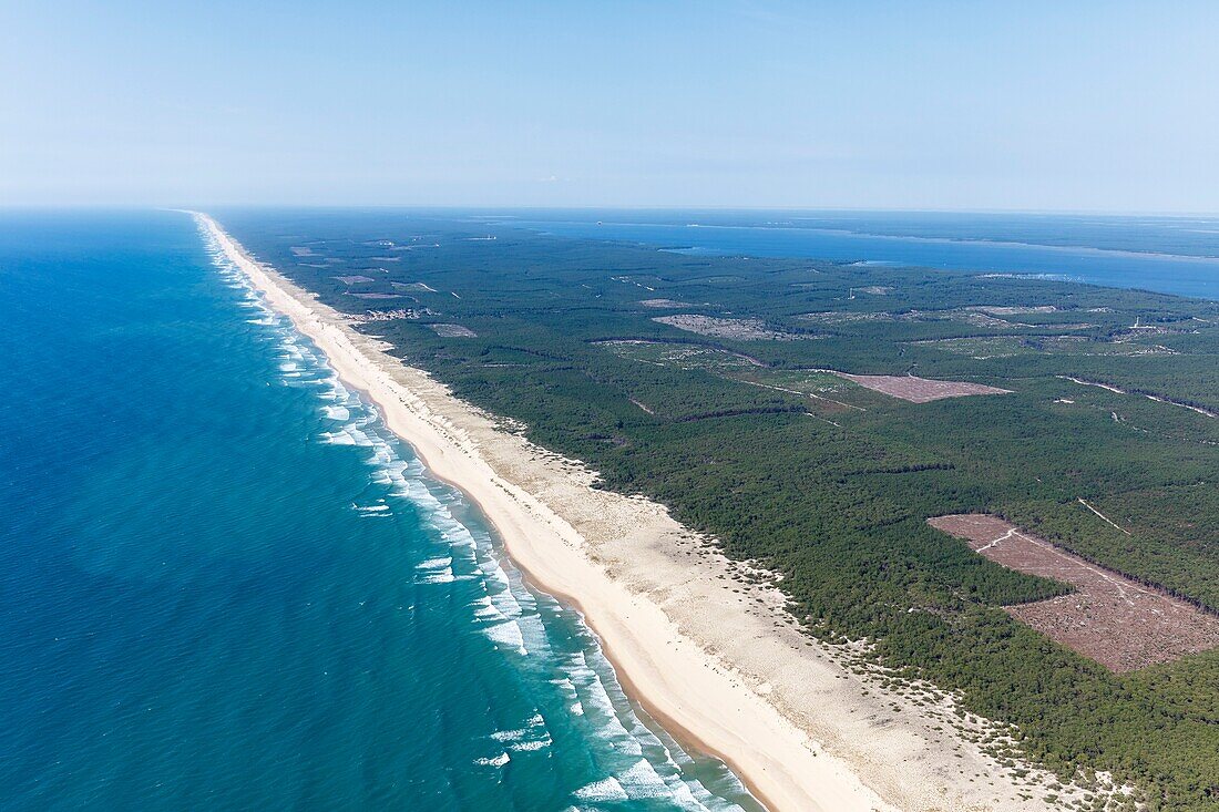 France, Gironde, Carcans, the beach, the dune, the pine forest and Carcans lake (aerial view)\n
