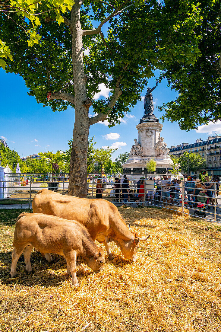 France, Paris, the Place of the Republic planted for the event Biodiversity 2019 from 21 to 24 June 2019 (Gad Weil)\n