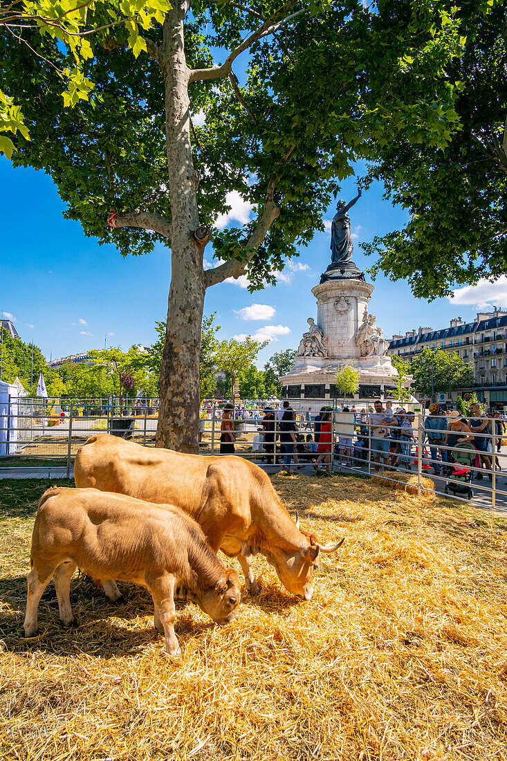 Frankreich, Paris, der Platz der Republik bepflanzt für die Veranstaltung Biodiversität 2019 vom 21. bis 24. Juni 2019 (Gad Weil)