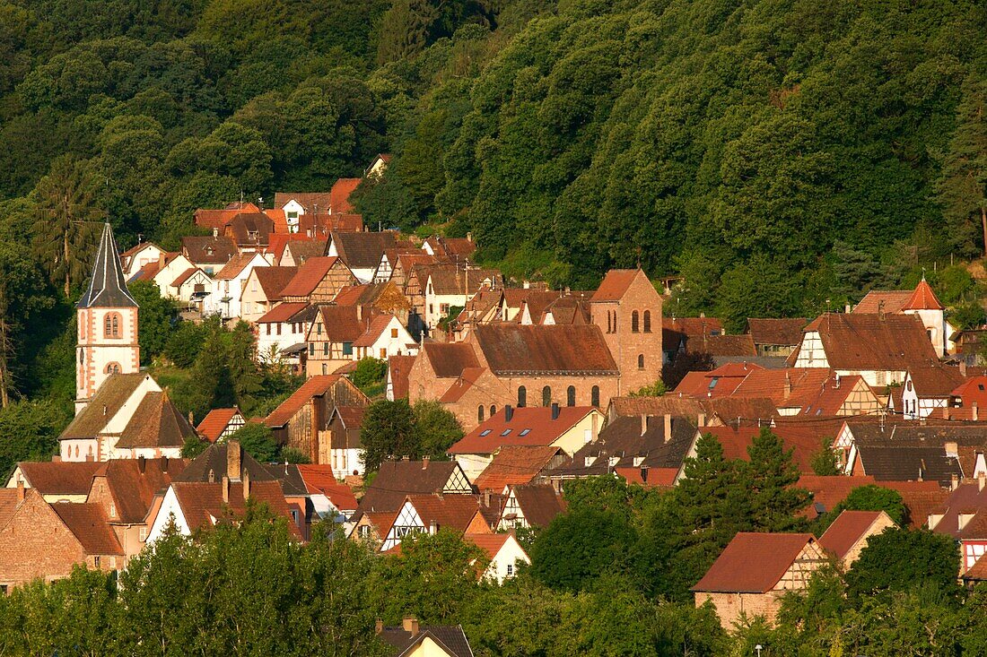 Frankreich, Bas Rhin, Parc Naturel Regional des Vosges du Nord (Regionaler Naturpark Nordvogesen), Oberbronn