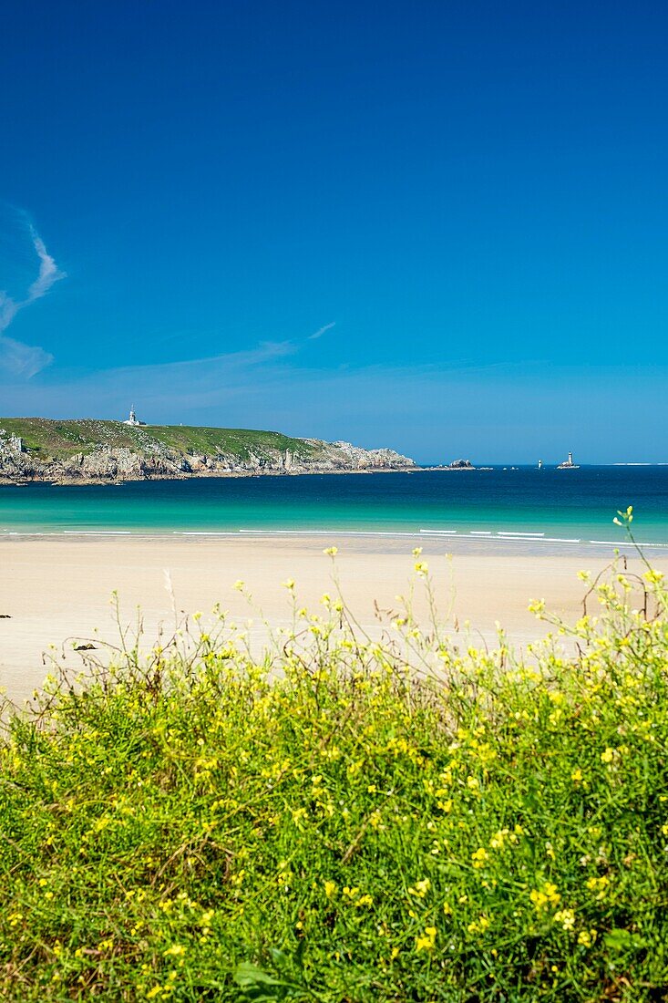 Frankreich, Finistere, Cleden-Cap-Sizun, Baie des Trépassés, im Hintergrund Pointe du Raz