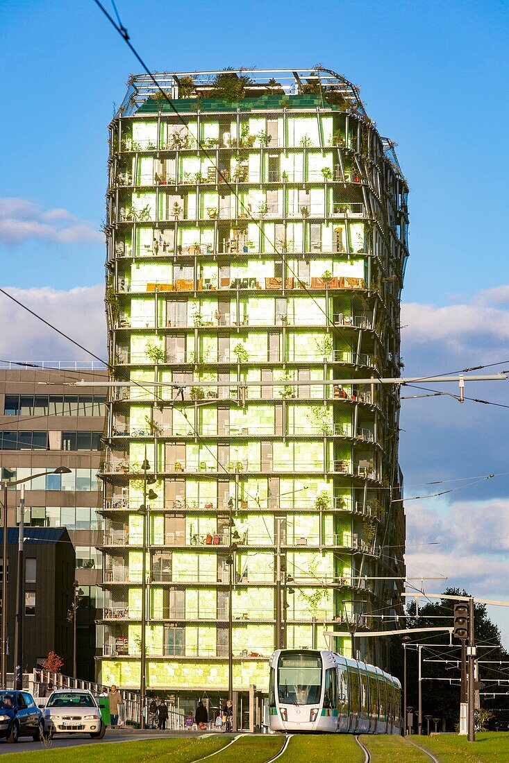 France, Paris, ZAC Massena in the 13th district, the M6B2 Biodiversity tower planted with species from wild environments, it becomes seed thanks to the winds\n