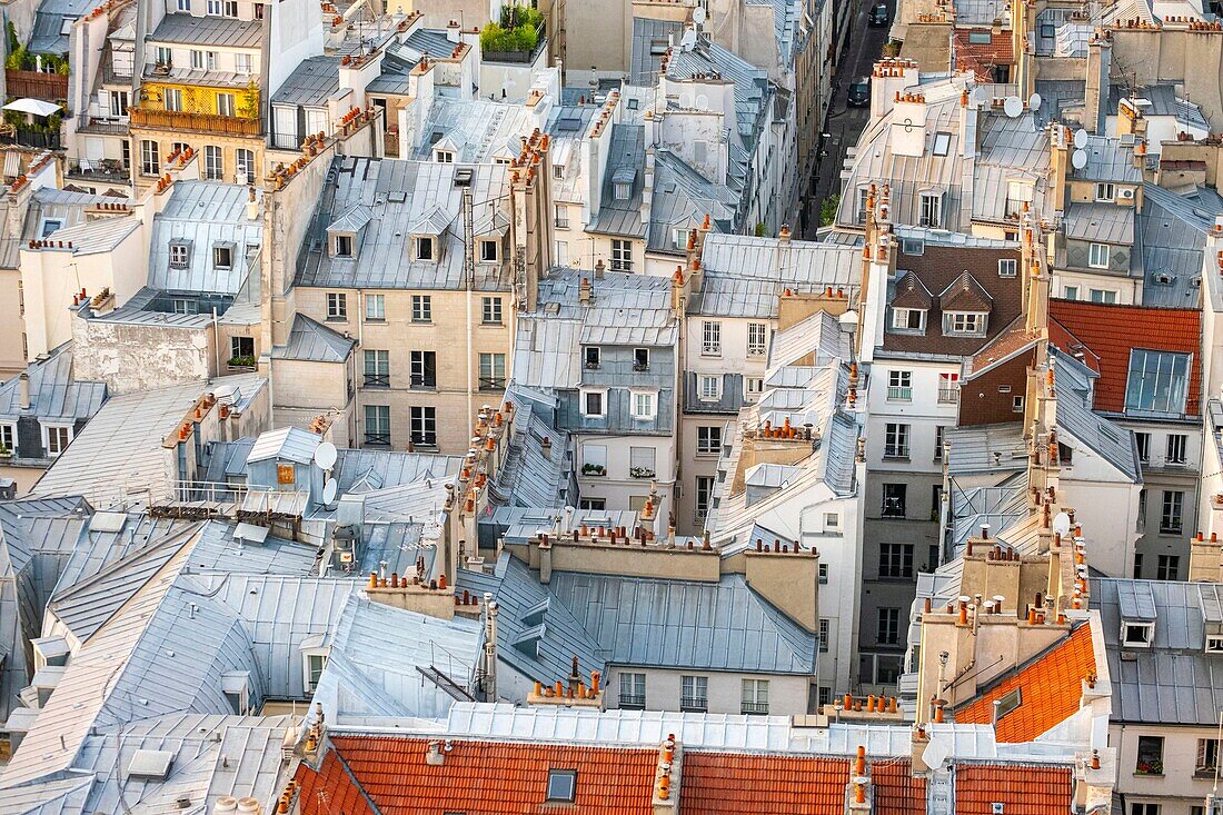Frankreich, Paris, die Dächer von Paris in Zink