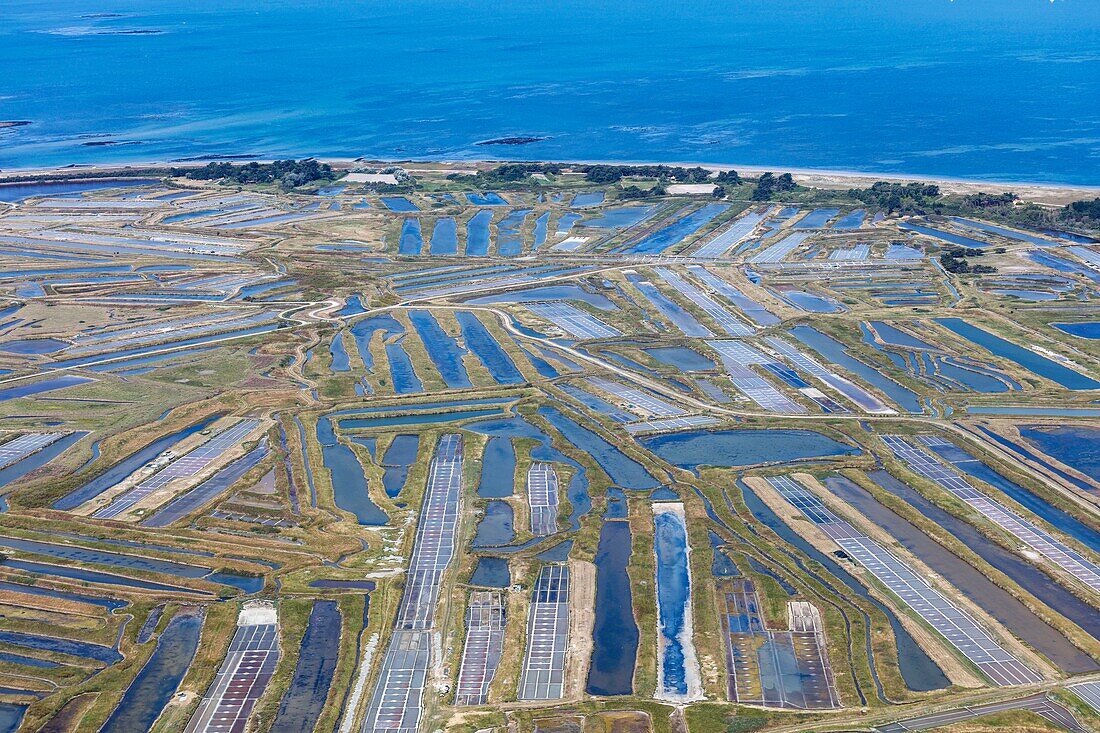 France, Vendee, Noirmoutier en l'Ile, the salt marshes and the sea (aerial view)\n