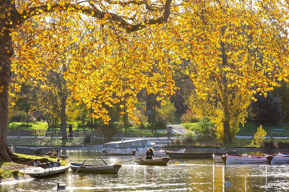 France, Paris, the Bois de Vincennes, the lake Daumesnil in autumn\n