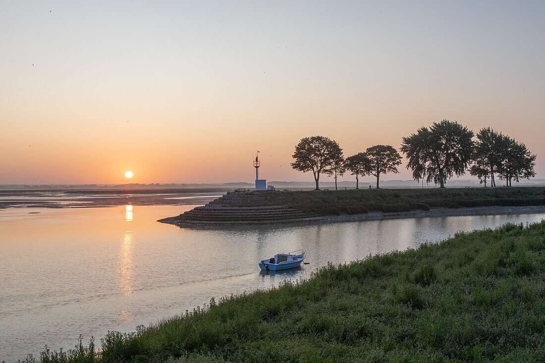 Frankreich, Somme, Baie de Somme, Morgendämmerung in der Bucht von Saint-Valery entlang des Kanals der Somme