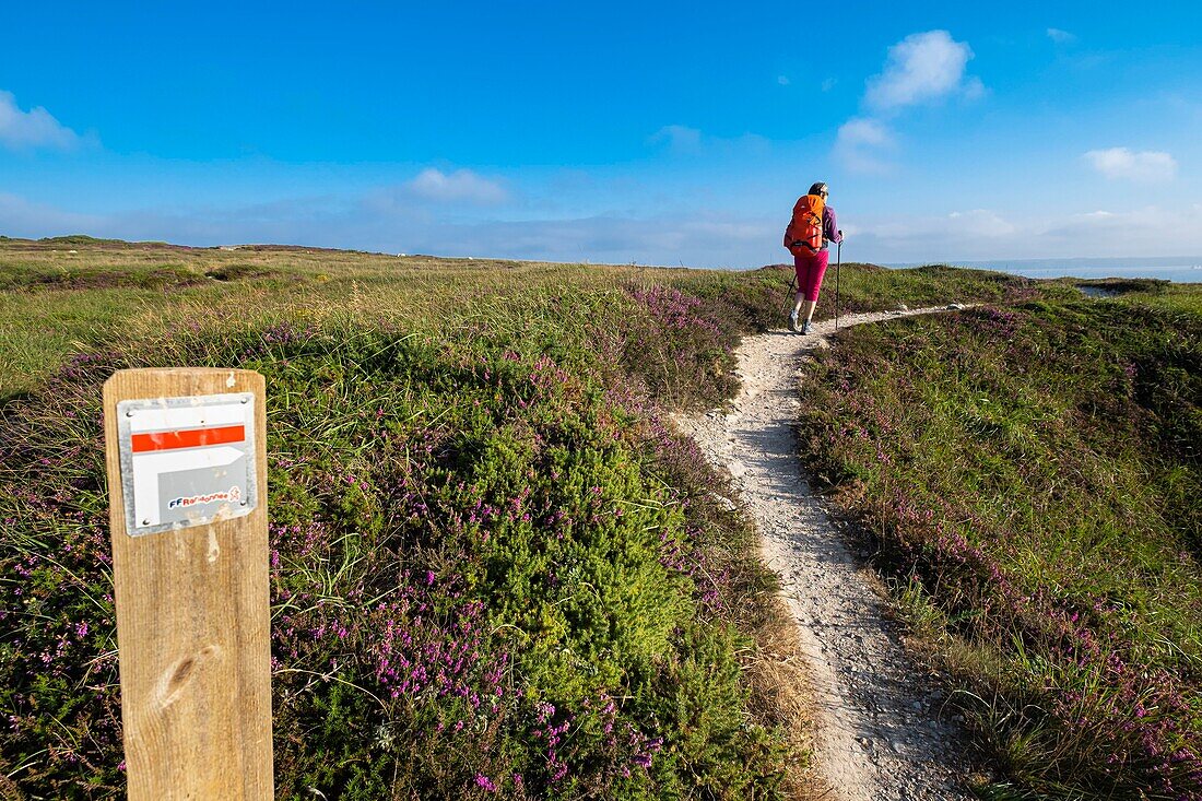 France, Finistere, Armorica Regional Natural Park, Crozon Peninsula, Camaret-sur-Mer, GR 34 hiking trail or customs trail\n