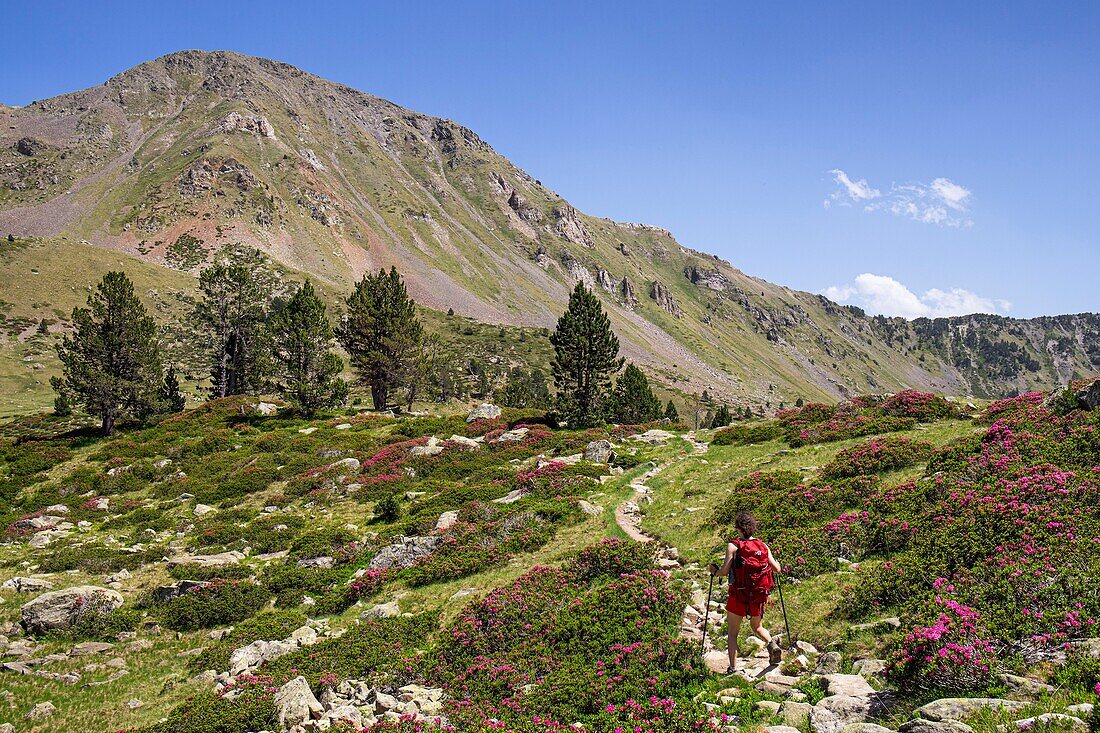 Frankreich, Hautes Pyrenees, Wanderer auf dem Weg zur Schutzhütte und den Seen von Bastan, Wanderweg GR10