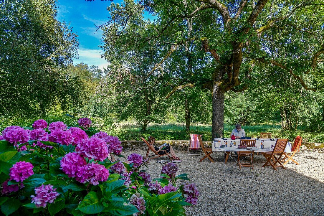 Frankreich, Saone et Loire, La Roche, Farniente in einem Garten mit einem Hortensienmassiv im Vordergrund