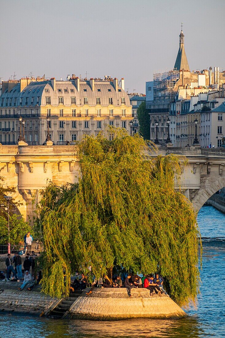 France, Paris, area listed as World Heritage by UNESCO, the Ile de la Cite\n