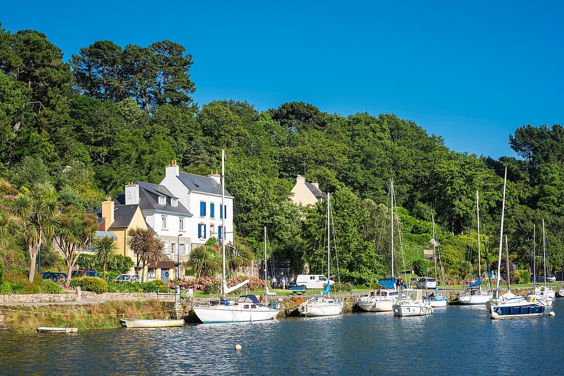 Frankreich, Finistere, Pont-Aven, die Ufer des Flusses Aven