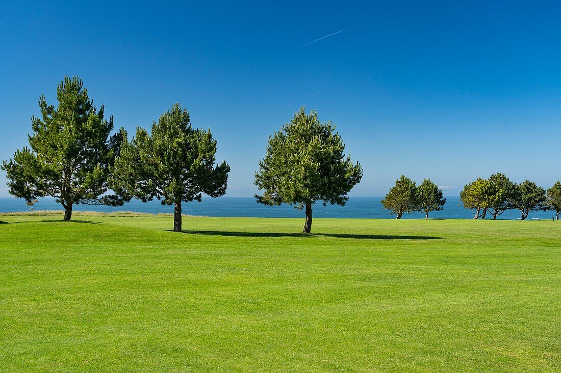 France, Seine Maritime, Etretat, Cote d'Abatre, the golf\n