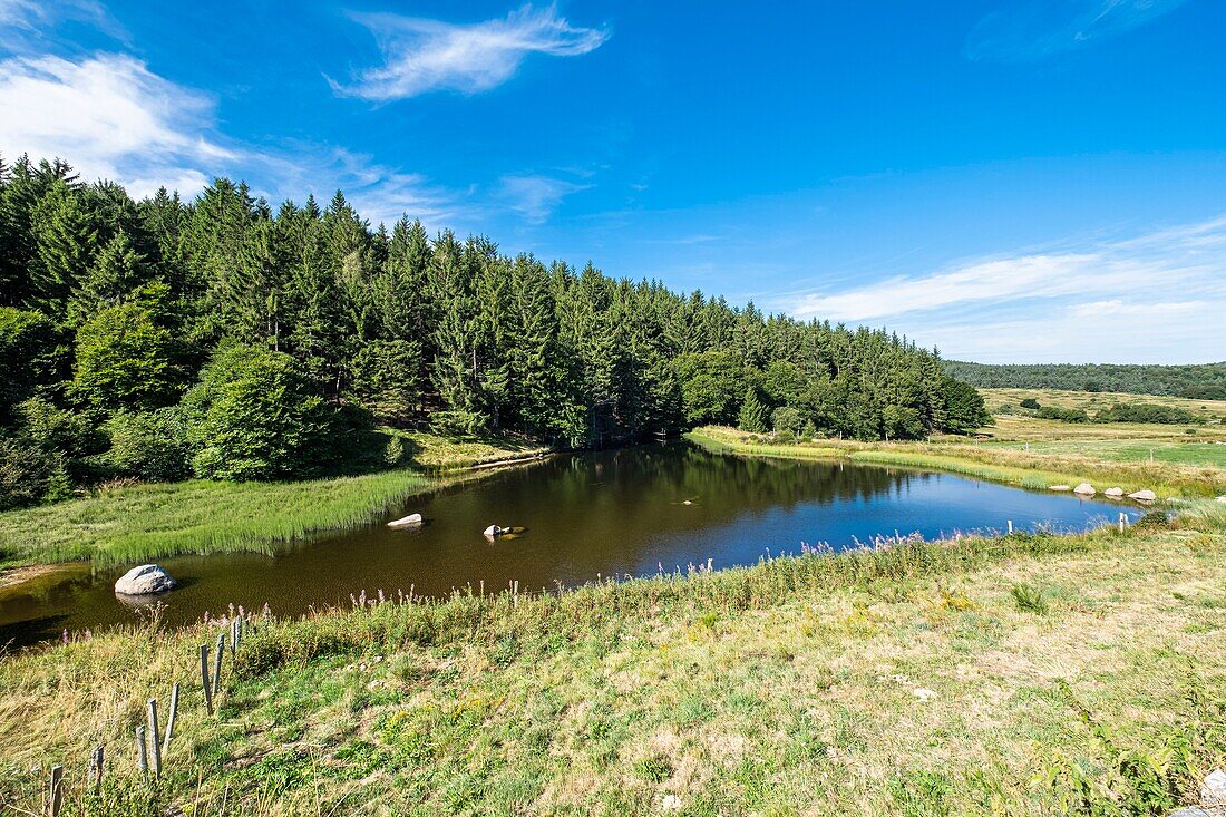 Frankreich, Haute-Loire, Umgebung von Chanaleilles, Domaine du Sauvage, Gästehaus entlang der Via Podiensis, einer der französischen Pilgerwege nach Santiago de Compostela oder GR 65