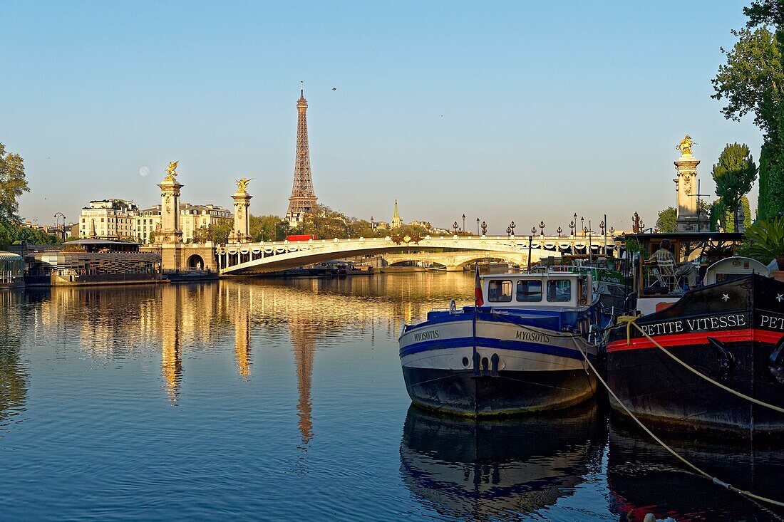 Frankreich, Paris, von der UNESCO zum Weltkulturerbe erklärtes Gebiet, im Hintergrund die Brücke Alexander III. und der Eiffelturm