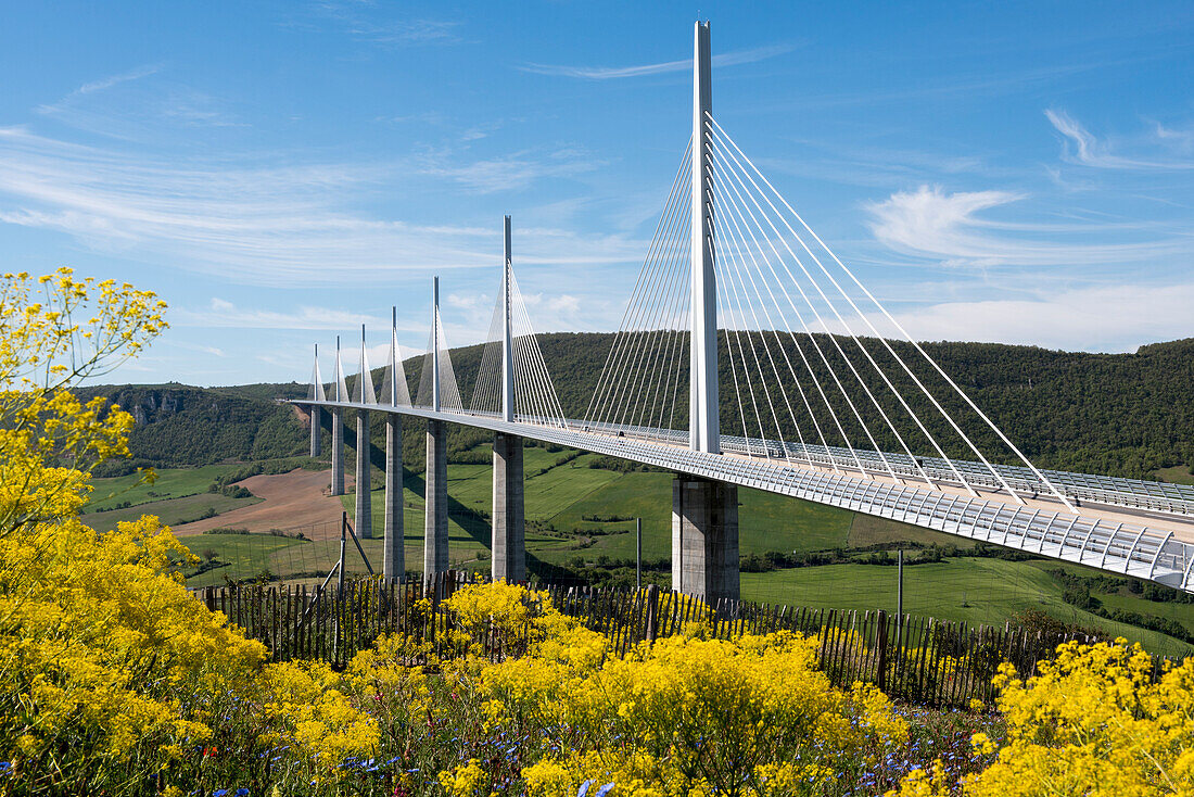 France, Aveyron, Millau, Millau Viaduct, Natural Regional Park of Grands Causses, cable stayed bridge over the Tarn Valley and River Tarn, by structural engineer Michel Virlogeux and British architect Lord Norman Foster, the tallest bridge in the world at 336.4 metres\n