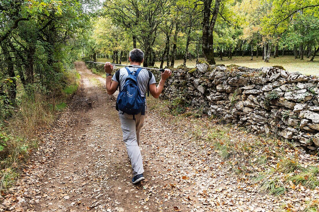 France, Lot, Geopark of Quercy, hiking trail area of Arcambal village\n