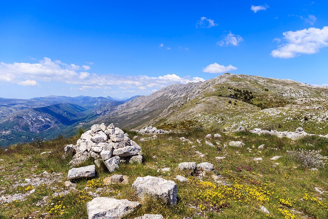 France, Alpes Maritimes, Regional Natural Park of the Prealpes d'Azur, Coursegoules, Cheiron Mountain\n