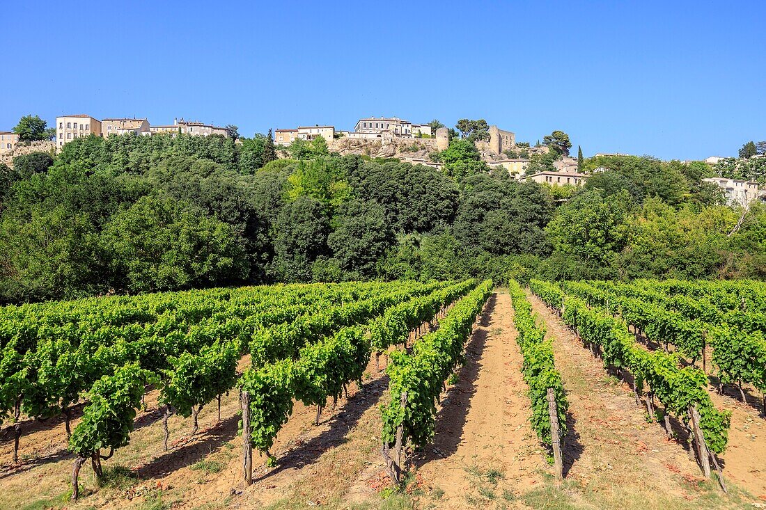 France, Vaucluse, regional natural park of Luberon, Menerbes, labeled the Most Beautiful Villages of France\n