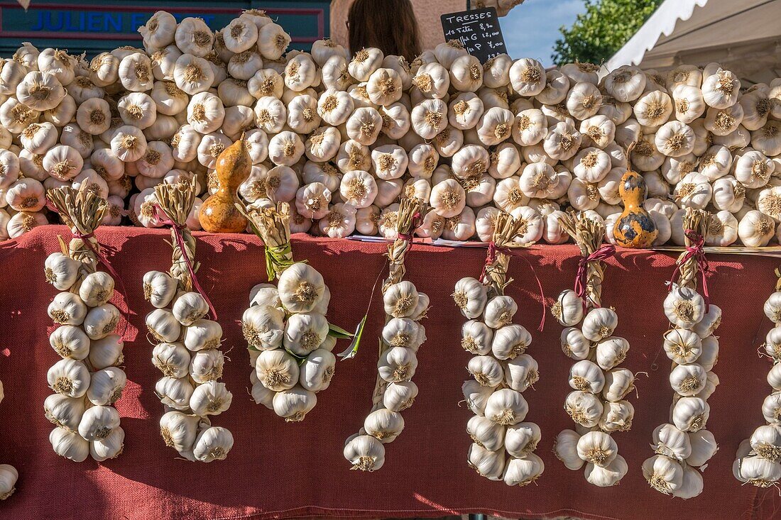 France, Puy de Dome, Billom, traditional August garlic fair, Parc naturel régional Livradois-Forez, Livradois Forez Regional Natural Park\n