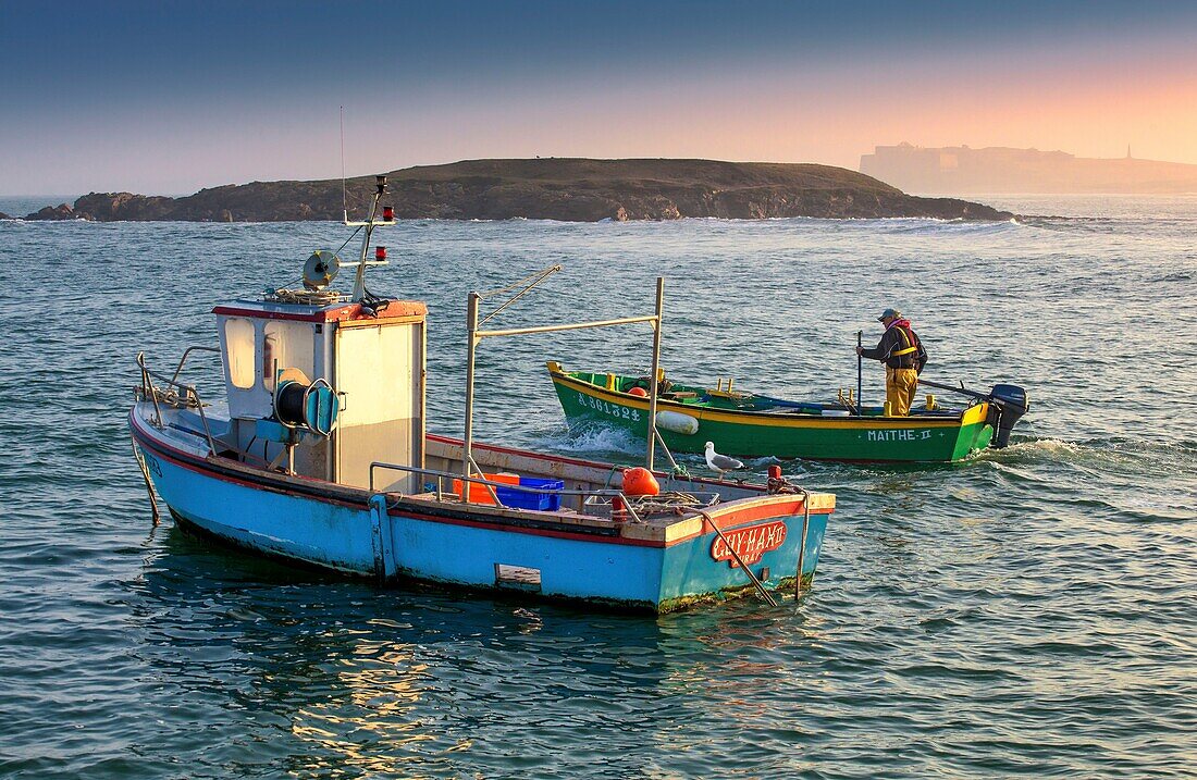 France, Morbihan, wild coast, Quiberon peninsula, Saint Pierre Quiberon, fisherman on the port of Portivy\n