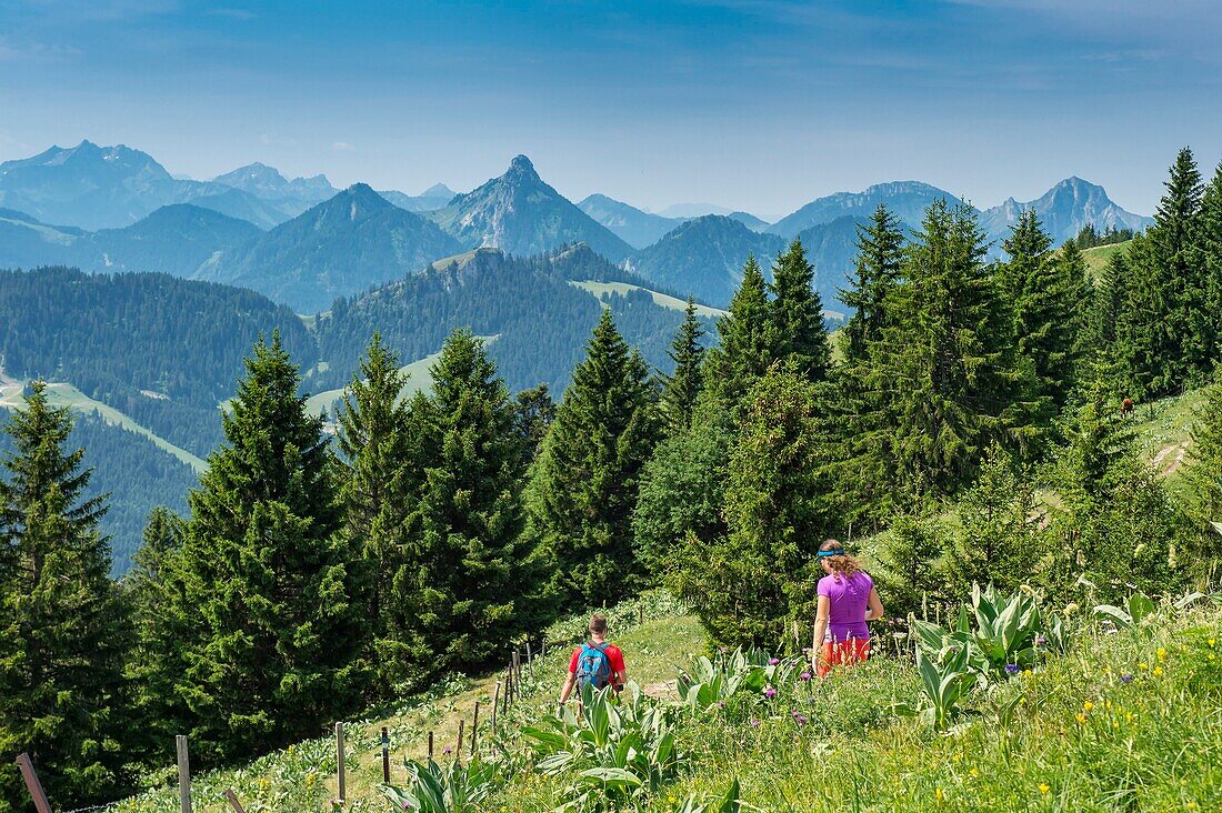 France, Haute Savoie, Chablais geopark massif, Thollon les Memises, cruising the peak to the peak of Memises\n