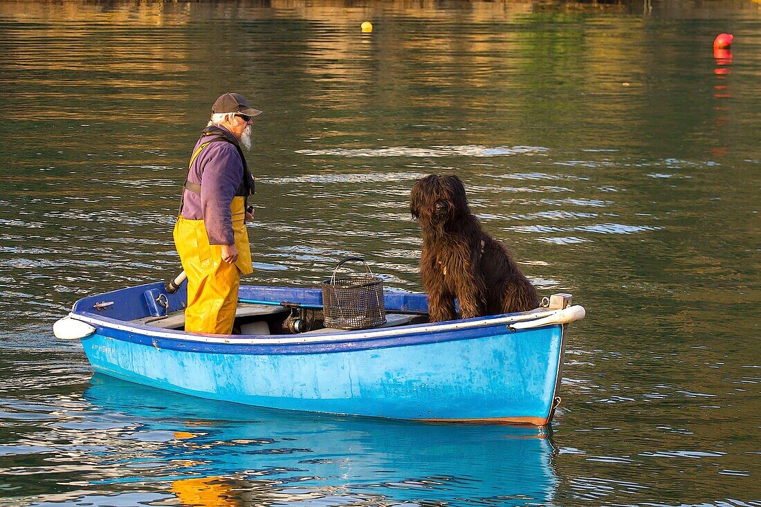 France, Finistère, Clohars Carnoët, fisherman and his faithful Briard on a boat in Doëlan, small typical port of southern Finistère\n