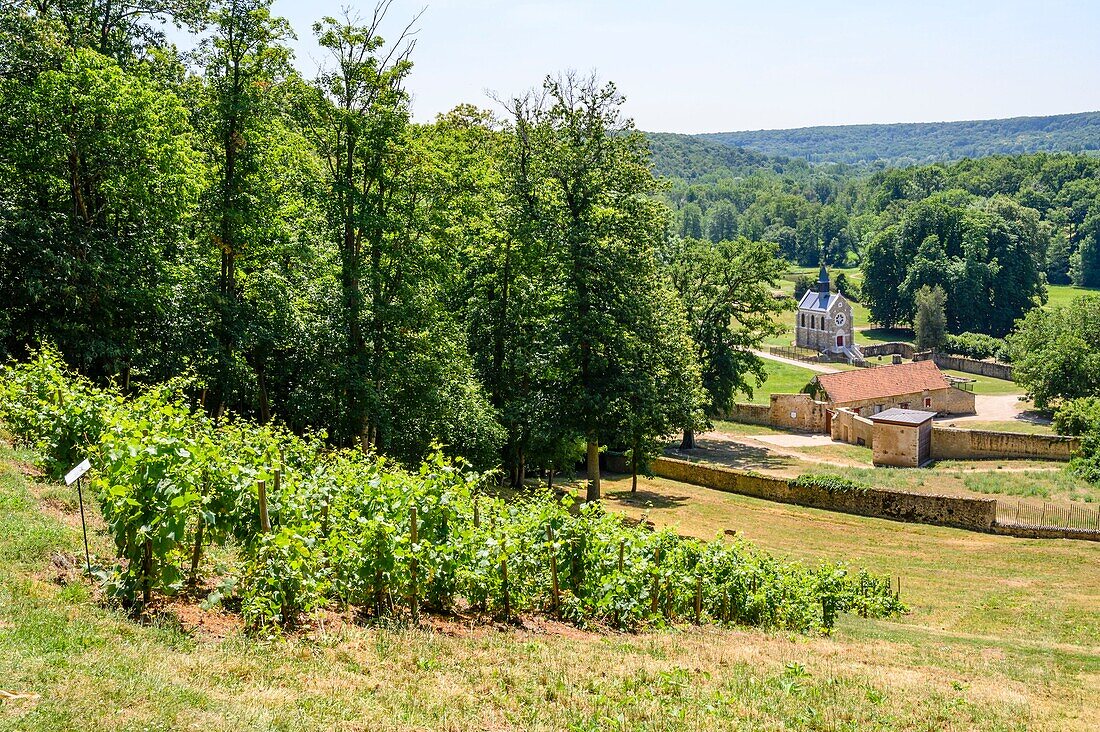 France, Yvelines, haute vallée de Chevreuse natural regional park, Magny les hameaux, Port Royal des champs Cistercian abbey founded in 1204\n