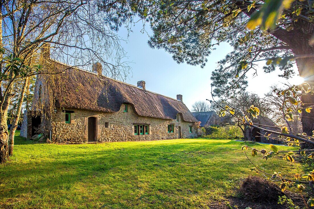 Frankreich, Morbihan, Golf von Morbihan, Regionaler Naturpark des Golfs von Morbihan, Plougoumelen, Cahire, typisches Haus mit Reetdach